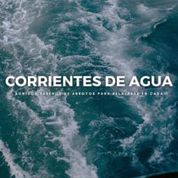 Corrientes De Agua: Sonidos Serenos De Arroyos Para Relajarse En Casa - Meditaciones Espirituales