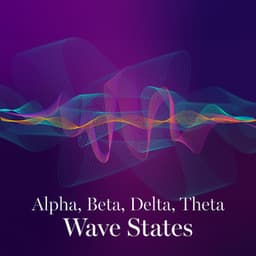 Alpha, Beta, Delta, Theta Wave States - Doctor Hertz