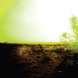 S/T - Strings Of Consciousness