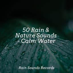 50 Rain & Nature Sounds - Calm Water - Nature Sounds