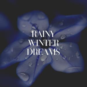Rainy Winter Dreams - Rainy Dreaming