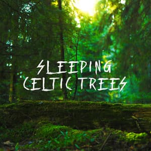 Sleeping Celtic Trees - World of Celtic Music