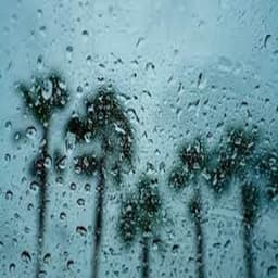 Gentle Rain Showers and Angry Thunderstorms - Sounds of Nature Relaxation