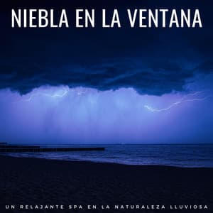 Niebla En La Ventana: Un Relajante Spa En La Naturaleza Lluviosa - Vaca helada