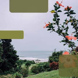 Background Music - Calming Moments - Mellow Sunday Morning Music