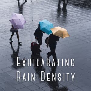 Exhilarating Rain Density - Seashore Waves