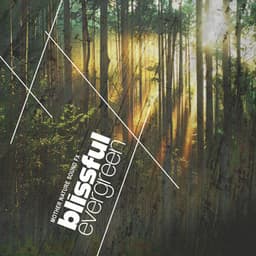 Blissful Evergreen - Mother Nature Sound FX