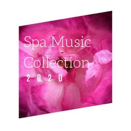 Spa Music Collection 2020: Create your own Spa Experience and Rejuvenate your Body, Mind and Spirit - Relaxation Music Therapists