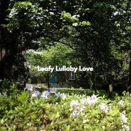 Leafy Lullaby Love - Acoustic Study Music Playlists