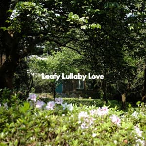 Leafy Lullaby Love - Acoustic Study Music Playlists