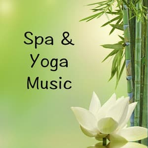 Spa & Yoga Music - Yoga Music