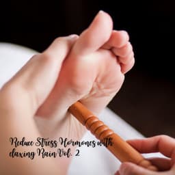 Massage: Reduce Stress Hormones with Relaxing Rain Vol. 2 - Massage Therapy Music