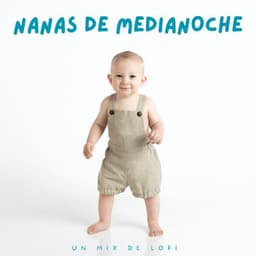 Nanas De Medianoche: Un Mix De Lofi - Beats de baja fidelidad para dormir