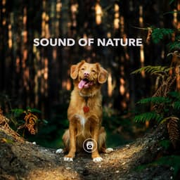 Sound Of Nature - Dog Sounds