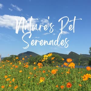 Piano Paws: Nature's Pet Serenades - PianoPinceOfAnime