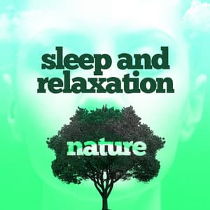 Sleep and Relaxation: Nature - Deep Sleep Nature Sounds
