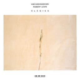 Britten, Carter, Liszt: Elegies - Kim Kashkashian