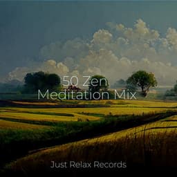 50 Zen Meditation Mix - Música a Relajarse