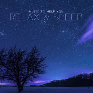 Music to Help You Relax & Sleep: Relaxing Instrumental Songs for Spa, Healing Massage, Deep Meditation and Yoga - Relaxation Area