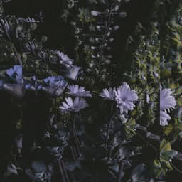 It's Beautiful. - Montell Fish