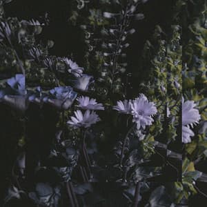 It's Beautiful. - Montell Fish