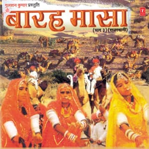 Baarah Maasa Vol-3 - Anuradha Paudwal