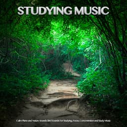 Studying Music: Calm Piano and Nature Sounds Bird Sounds For Studying, Focus, Concentration and Study Music - Study Music & Sounds