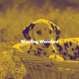Woofing Wonders - Dog Calming Music