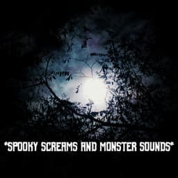 * Spooky Screams And Monster Sounds * - The Haunted House of Horror Sound Effects
