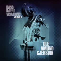 Bass Improvisations Volume 8 - Ole Amund Gjersvik
