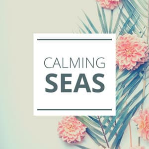 Calming Seas: Relaxing Tropical Island Beach Ambience Sound with Meditation Music - Spa Music Collective