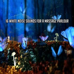 16 White Noise Sounds For A Massage Parlour - White Noise Babies