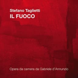 Stefano Taglietti: Il fuoco - Stefano Taglietti