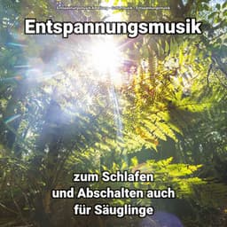 ! ! ! ! ! Entspannungsmusik zum Schlafen und Abschalten auch für Säuglinge - Entspannungsmusik