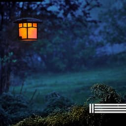 Natural Cricket Sounds - Night Sounds