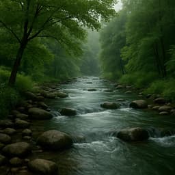 30 Peaceful River Tracks for: For Mindfulness - Baltic Nature Sounds