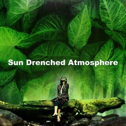 Sun Drenched Atmosphere - Calming Sounds