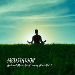 MEDITATION: Ambient Music for Peace of Mind Vol. 1 - 1 Hour Meditation