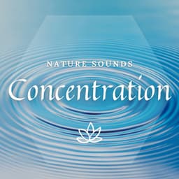 Concentration - Meditway