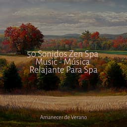 50 Sonidos Zen Spa Music - Música Relajante Para Spa - Musica Reiki