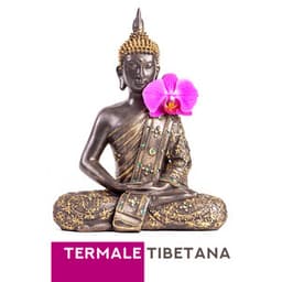 Termale tibetana - Meditazione musica zen institute