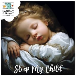 Max Sleep Max Dreams - Sleep My Child