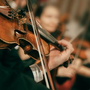 Tranquil Focus Atmosphere: Orchestra Music - Valborg Shamsuddin