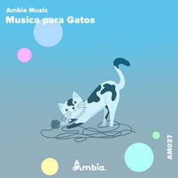 Musica Para Gatos - Ambia Music