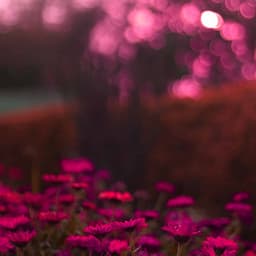 Bossa Guitar Trio - Background for Liking Sundays - Jazz Chill Out Relax