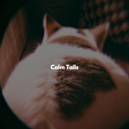 Calm Tails - Musica da Lavoro