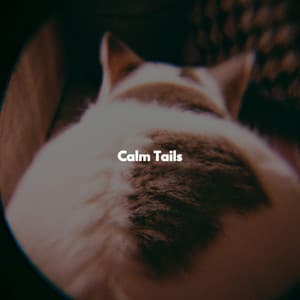 Calm Tails - Musica da Lavoro
