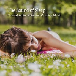 The Sound of Sleep: Natural White Noise and Calming Music - Outside HD Samples