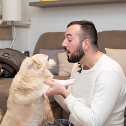 Piano Pet Companionship: Serenading Music for Peaceful Moments - Mozartian Pianist