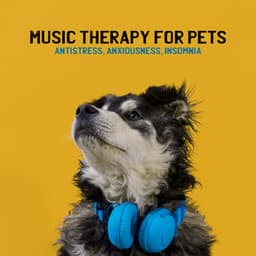 Music Therapy for Pets. Antistress, Anxiousness, Insomnia, Gentle Sounds for Puppies - Animal Melody Wizard